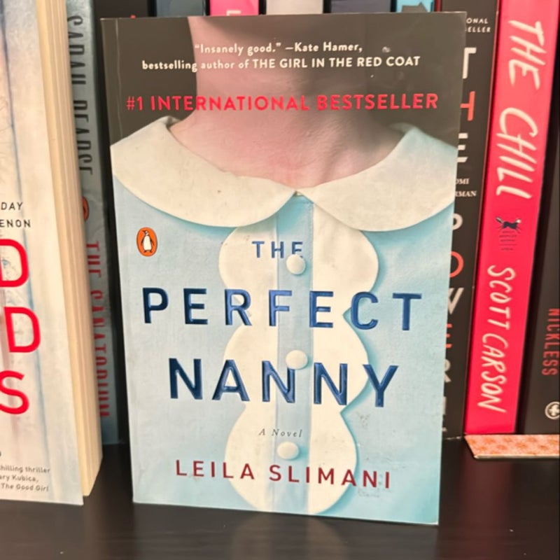 The Perfect Nanny