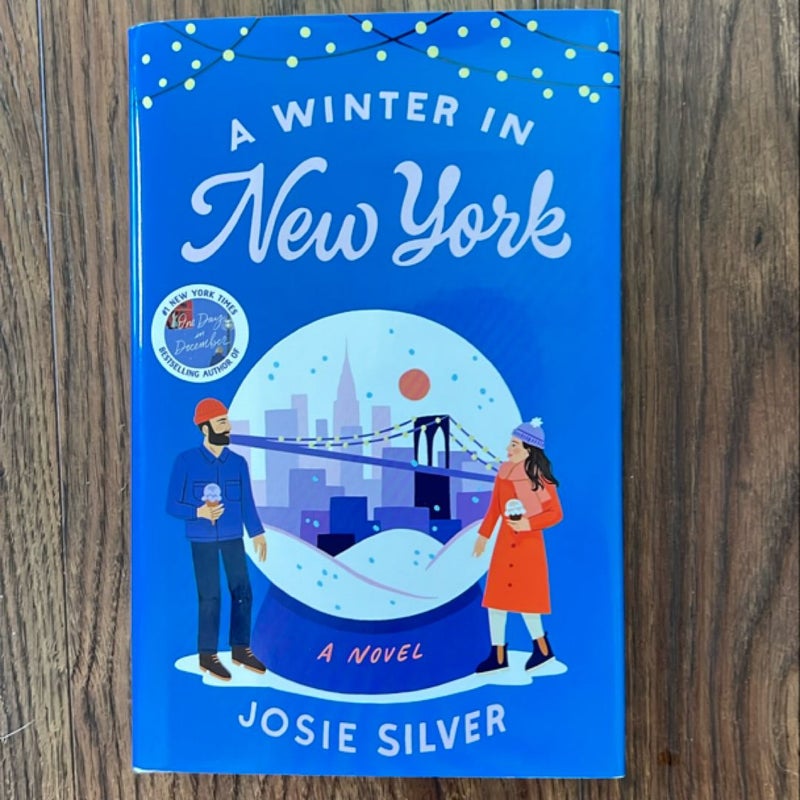 A Winter in New York