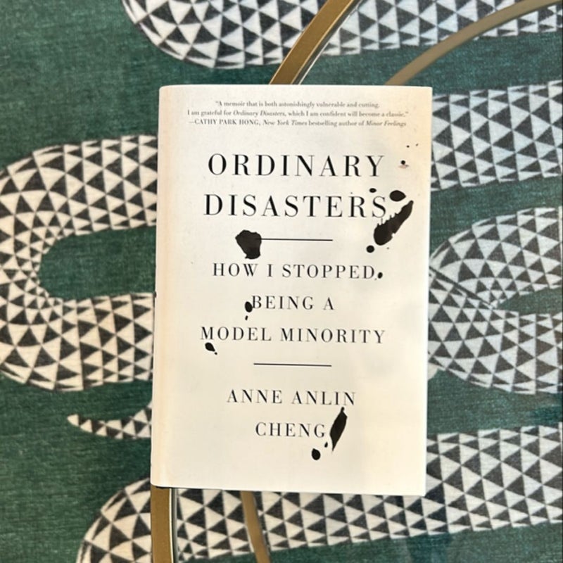 Ordinary Disasters