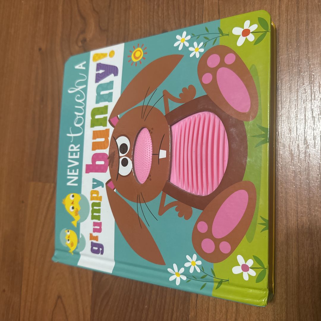 Never Touch a Grumpy Bunny!