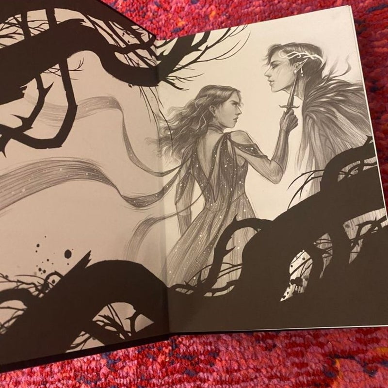 The Cruel Prince - Special Edition 