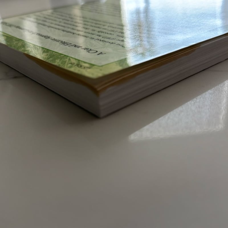 The Dialectical Behavior Therapy Skills Workbook