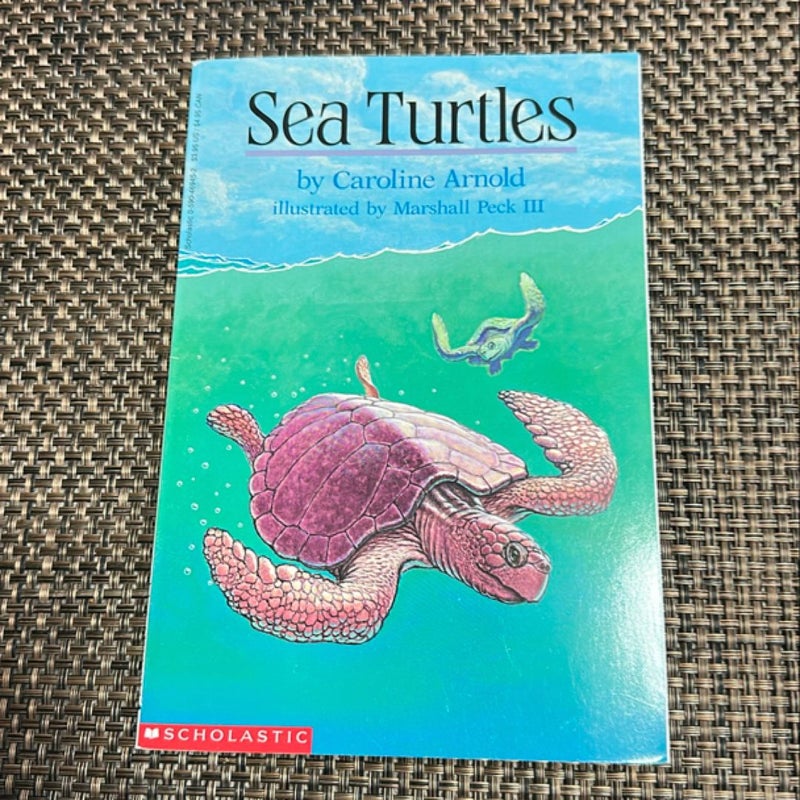 Sea Turtles