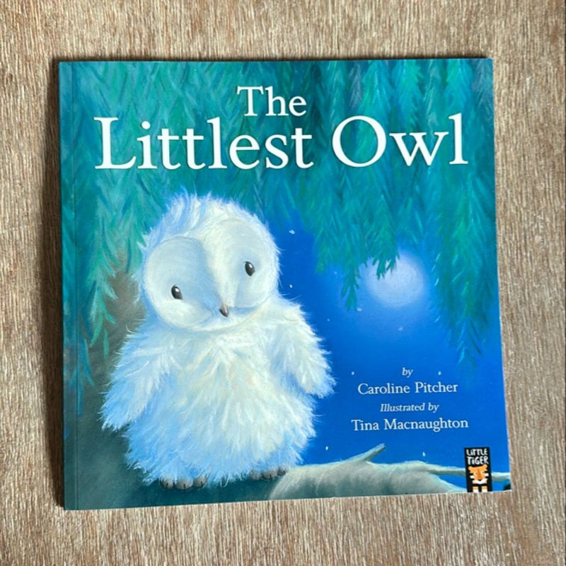 The Littlest Owl