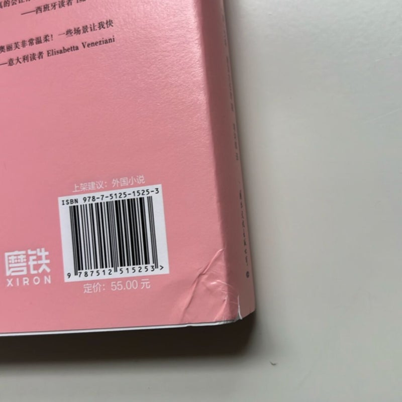 *Chinese Mandarin Edition* The Love Hypothesis