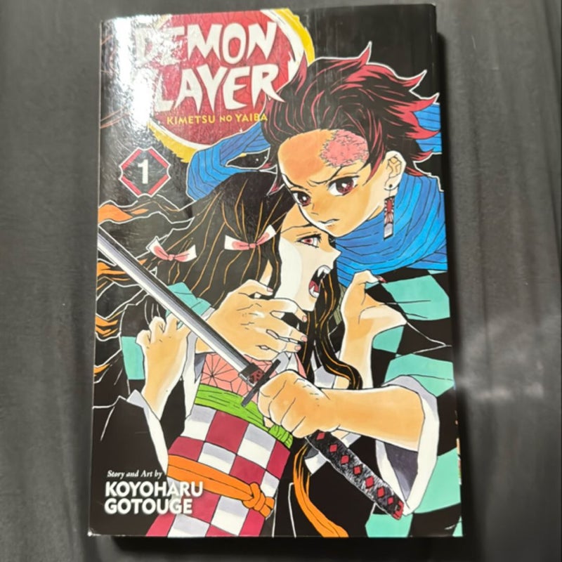 Demon Slayer: Kimetsu No Yaiba, Vol. 1