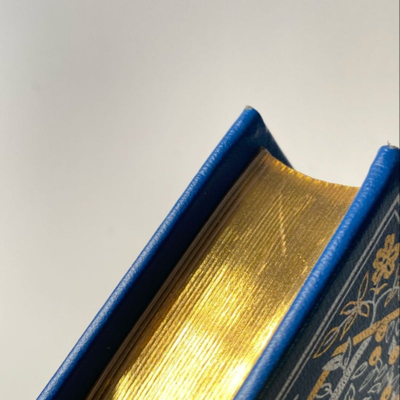 The Blue Fairy Book