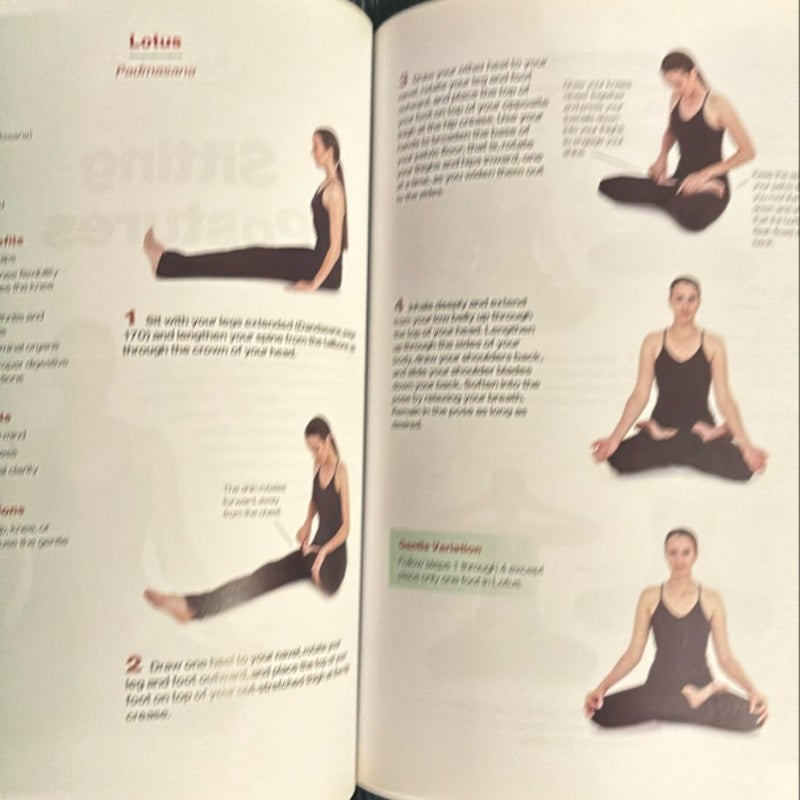 Hatha Yoga Illustrated