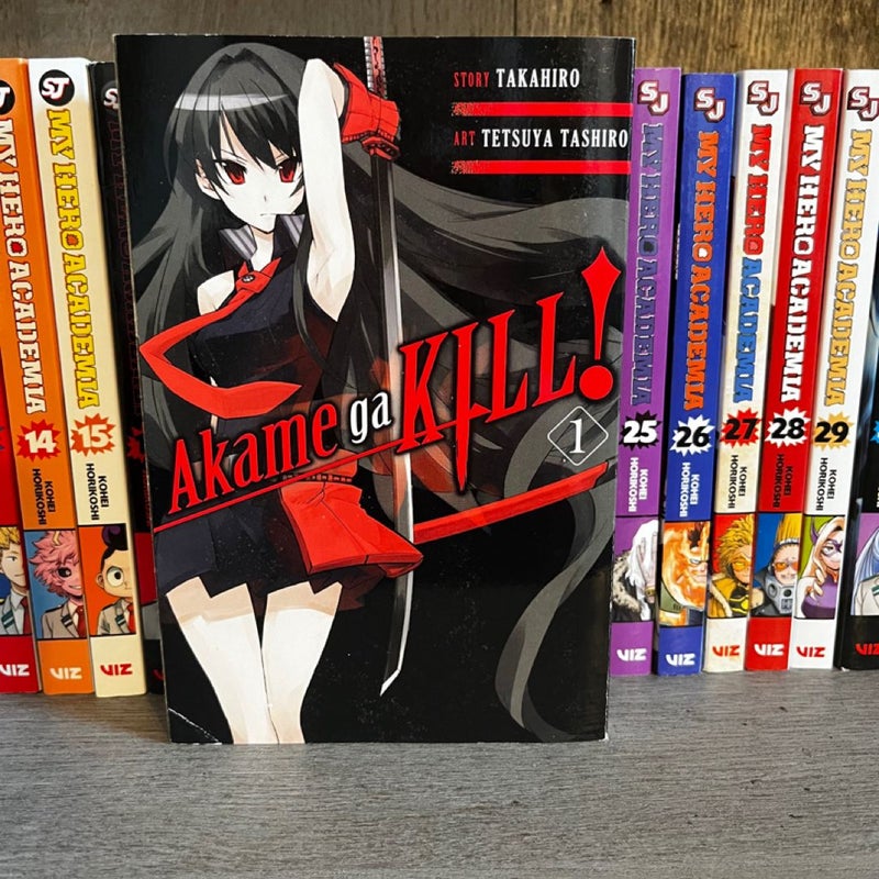 Akame Ga KILL!, Vol. 1