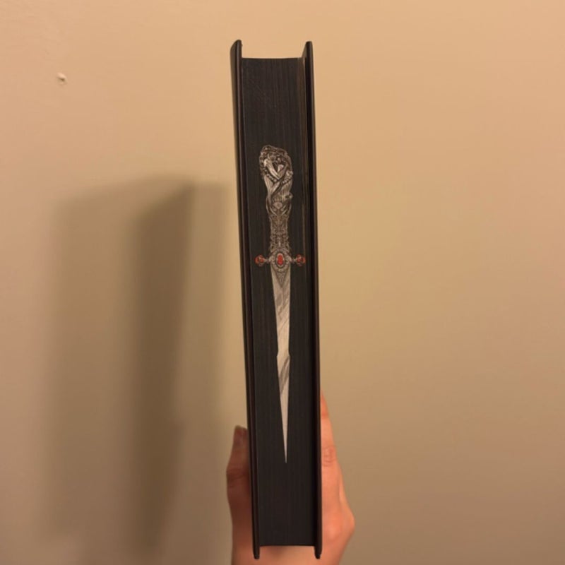 Where Shadows Meet - Fairyloot edition
