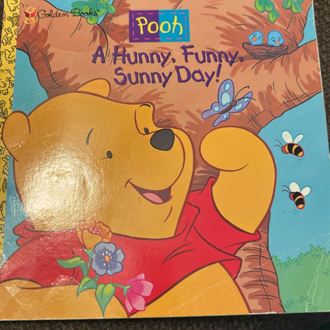 A Hunny, Funny, Sunny Day!