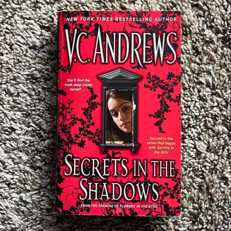 Secrets in the Shadows (vintage Stepback )