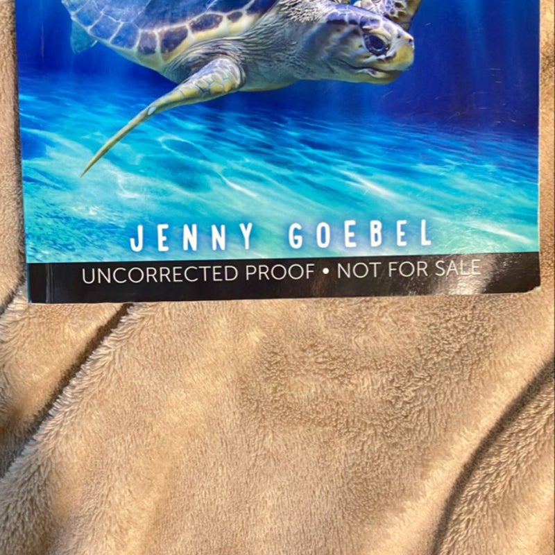 Out of My Shell