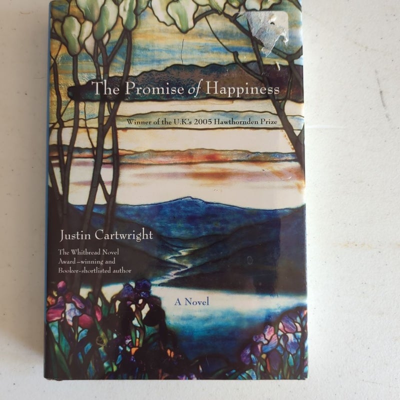 The Promise of Happiness