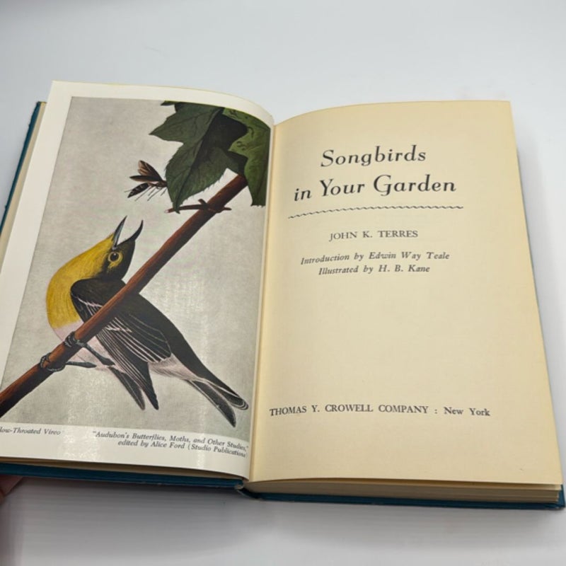 Songbirds in Your Garden