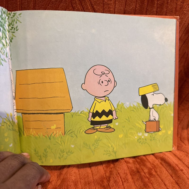 “ He’s your dog , Charlie Brown ! “