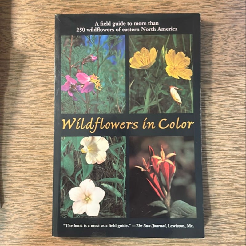 Wildflowers in Color