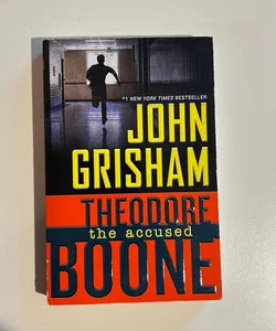 Theodore Boone: the Accused