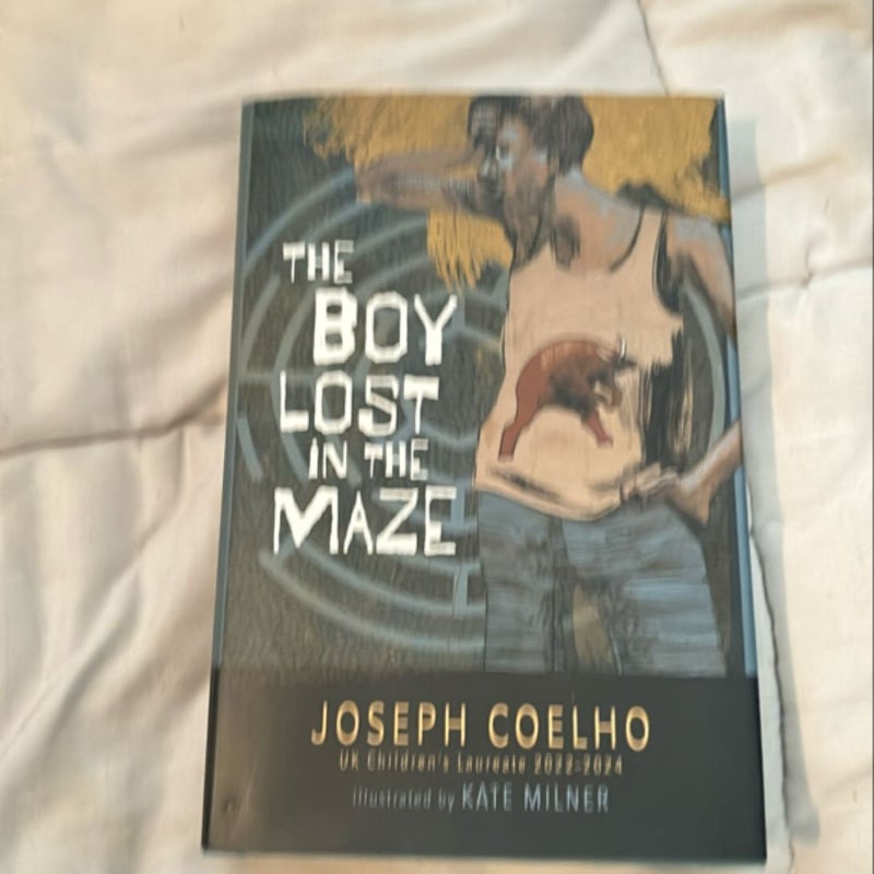 The Boy Lost in the Maze