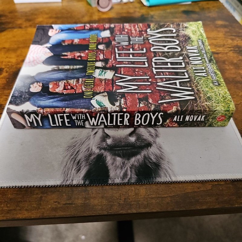 My Life with the Walter Boys