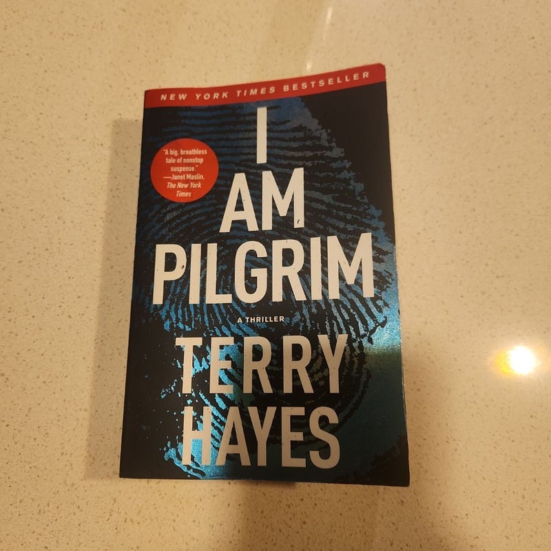 I Am Pilgrim