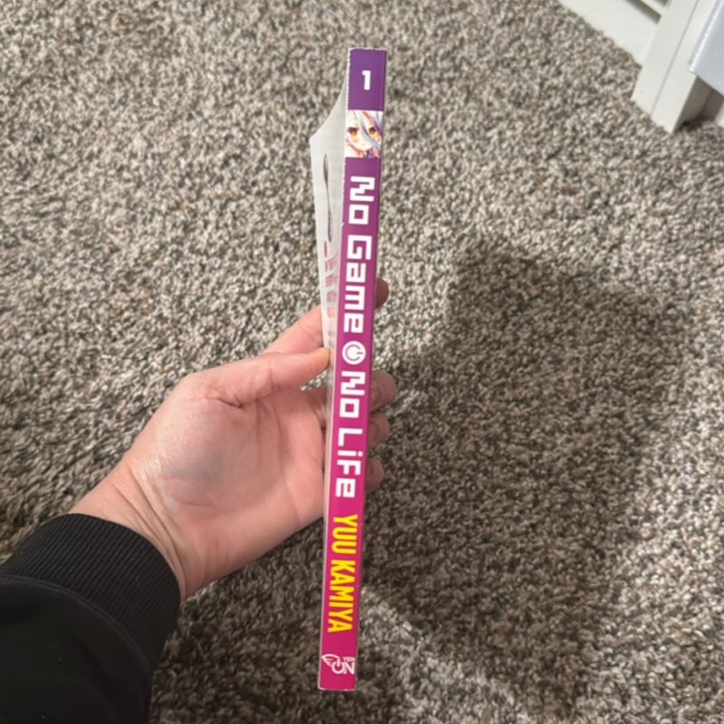 No Game No Life, Vol. 1 (light Novel)