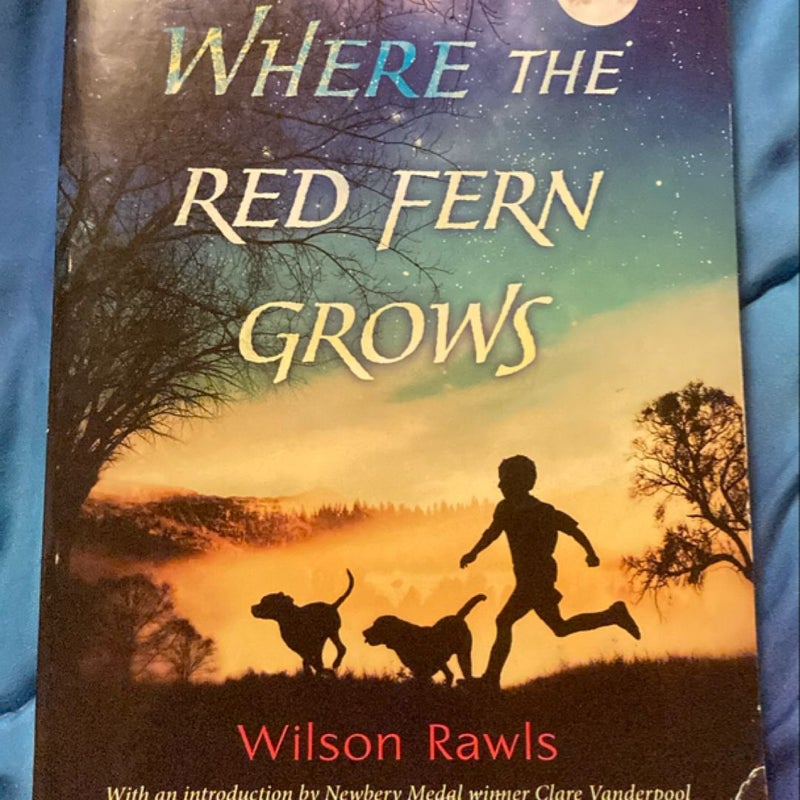 Where the Red Fern Grows