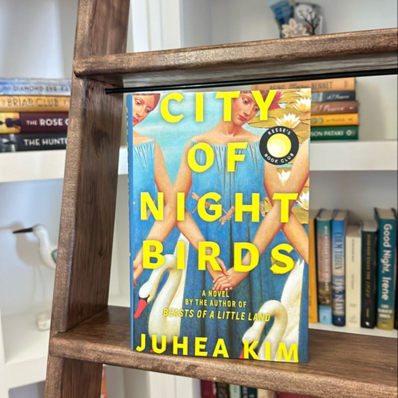 City of Night Birds