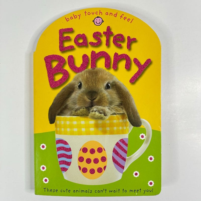 Easter Bunny Baby Touch and Feel