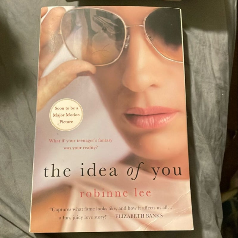 The Idea of You