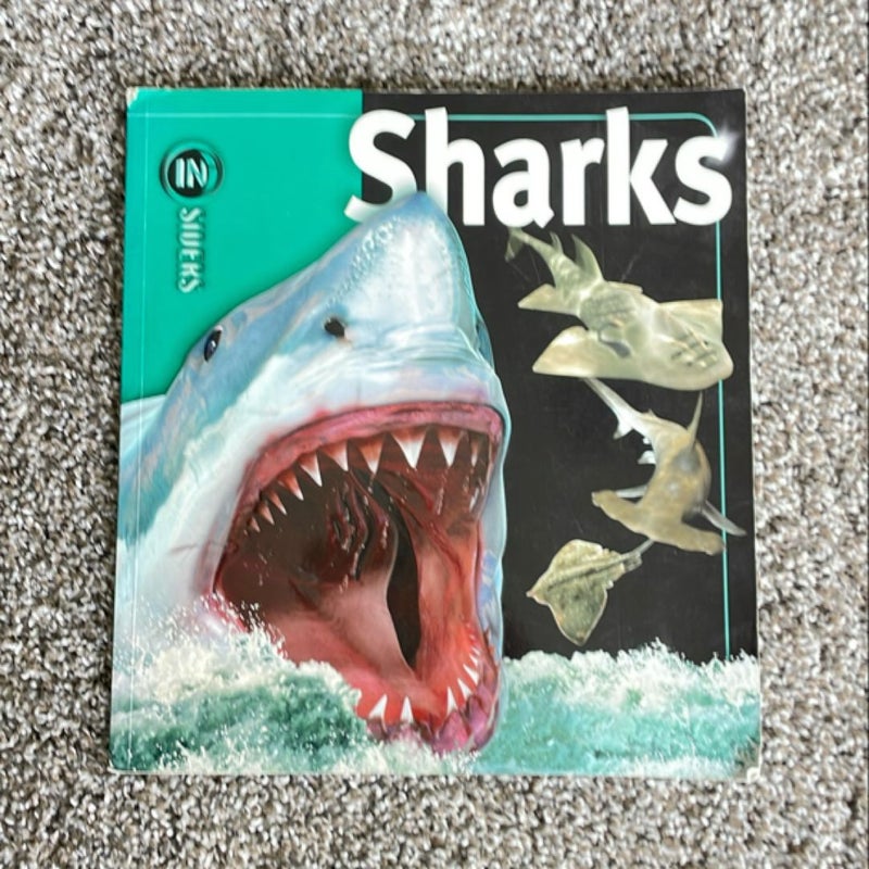 Sharks