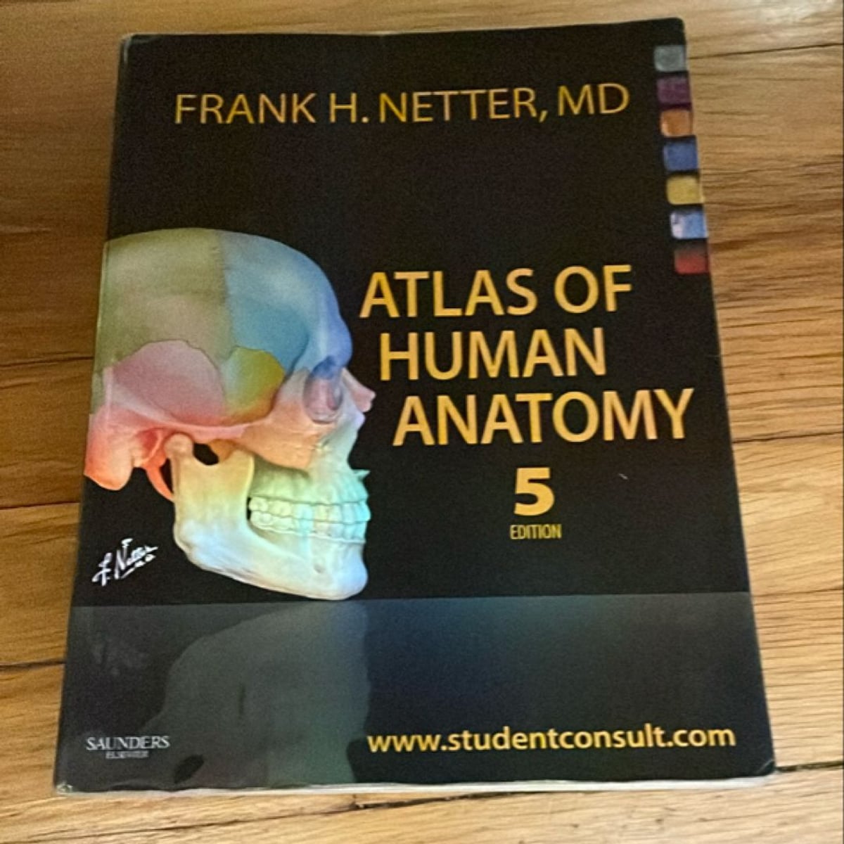 Atlas of Human Anatomy by Frank H. Netter, Paperback | Pangobooks