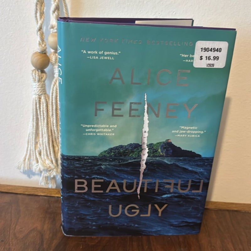Beautiful Ugly
