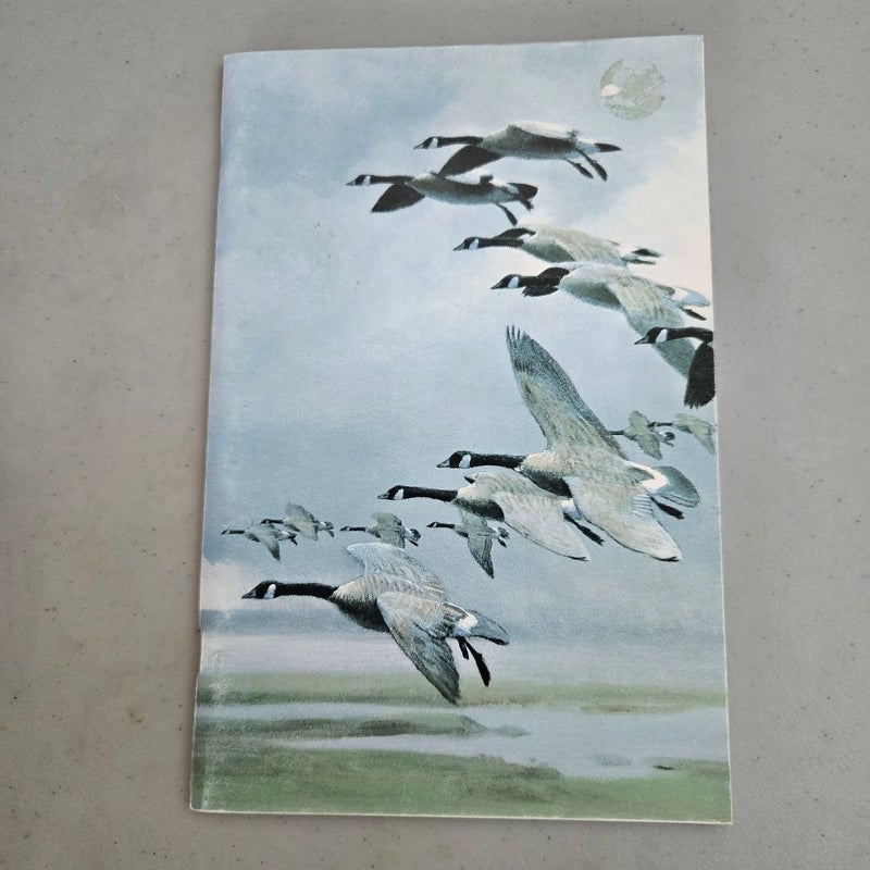Lot (3) Leigh Yawkey Woodson Museum Bird Art Catalogs 1978 1980 1982