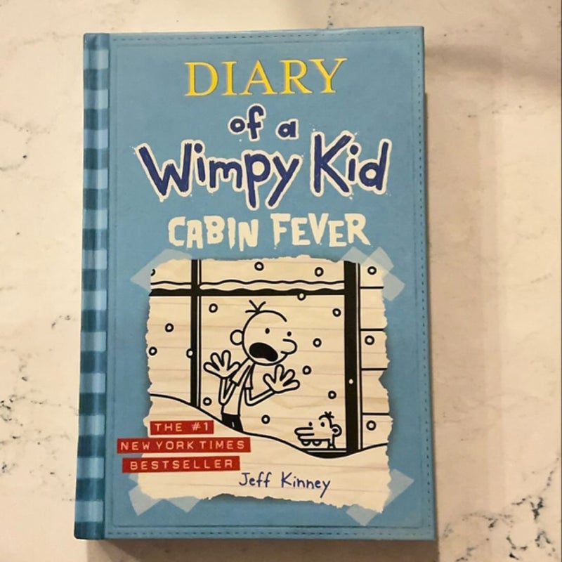 Diary of a Wimpy Kid # 6