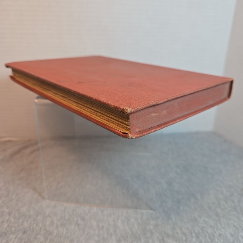 The Intruder by Helen Fowler , Hardcover | Pangobooks