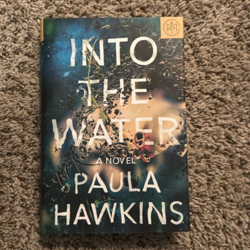 Into the Water