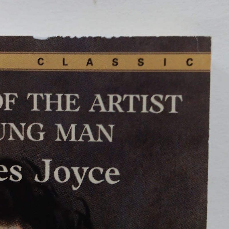A Portrait of the Artist As a Young Man