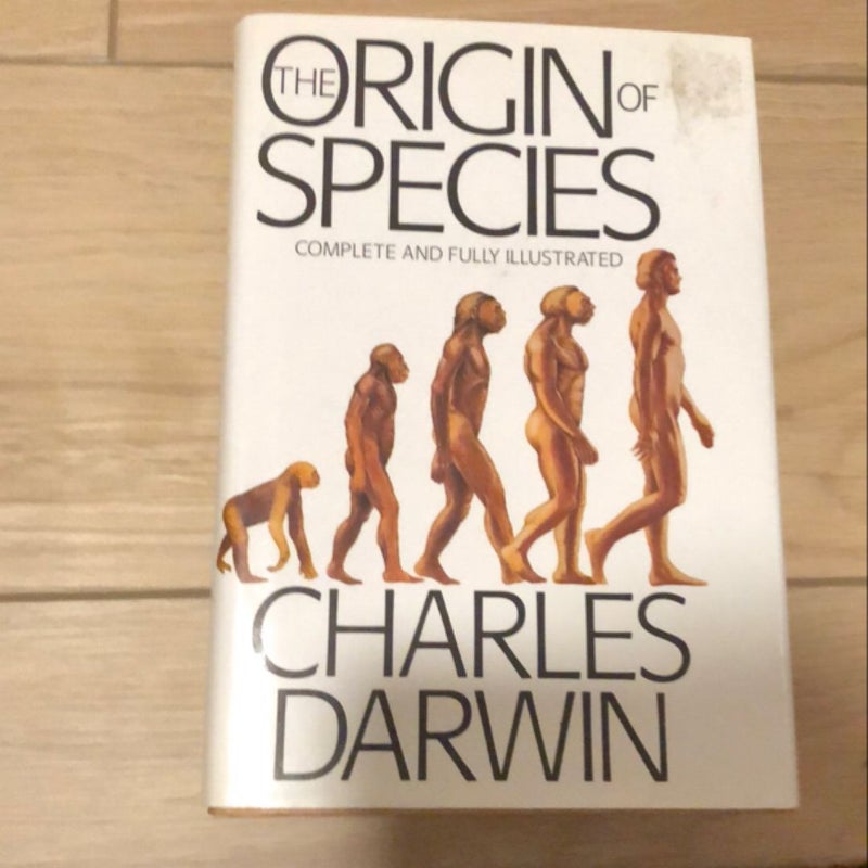 Origin of Species