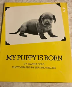 My Puppy Is Born