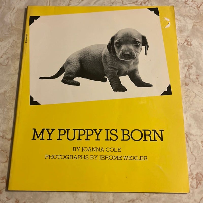 My Puppy Is Born