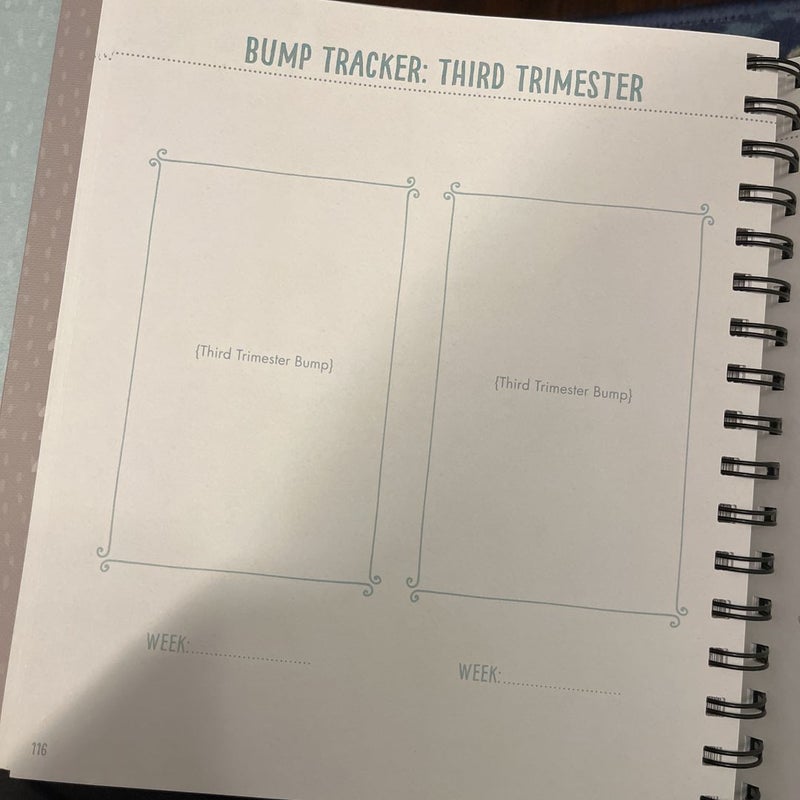 Bump For Joy Pregnancy Journal by N/A, Hardcover | Pangobooks