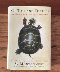 Of Time and Turtles