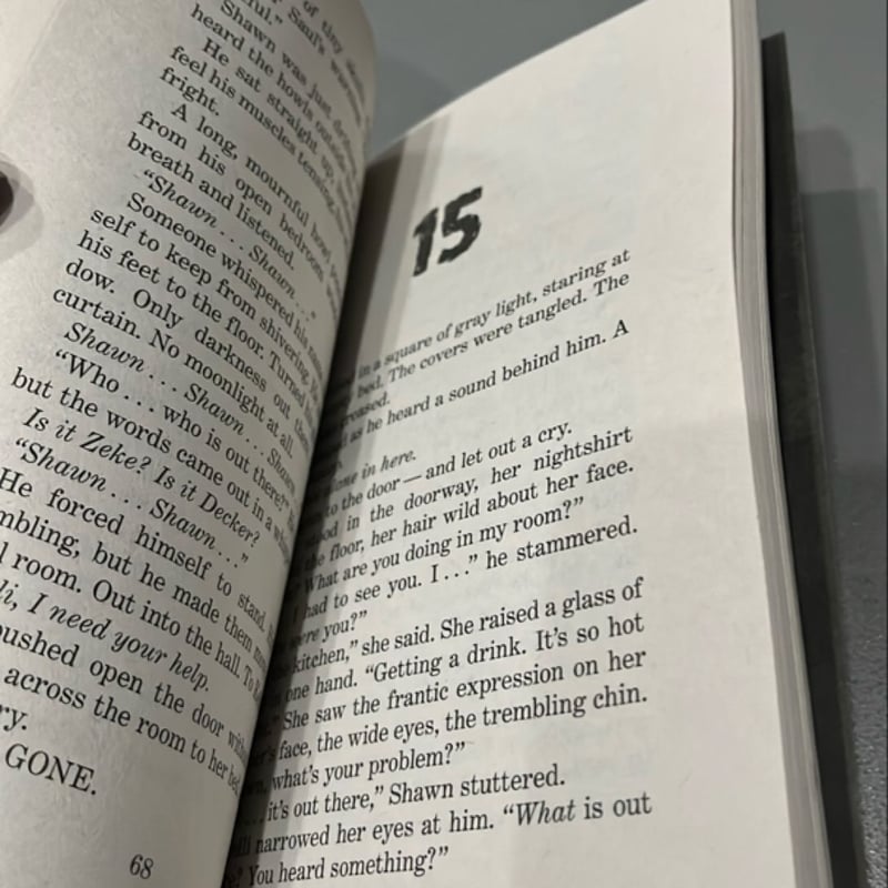 Here Comes the Shaggedy