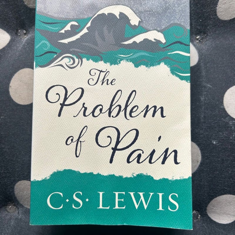 The problem of pain book