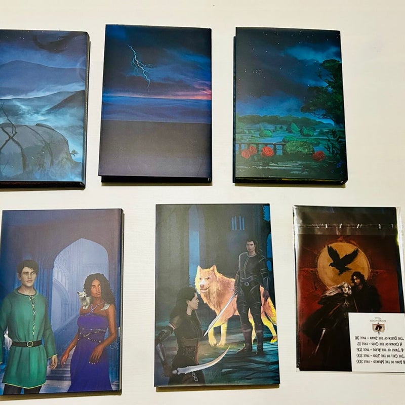 Books for Days Crate S. M. Gaither The Song of the Marked Series