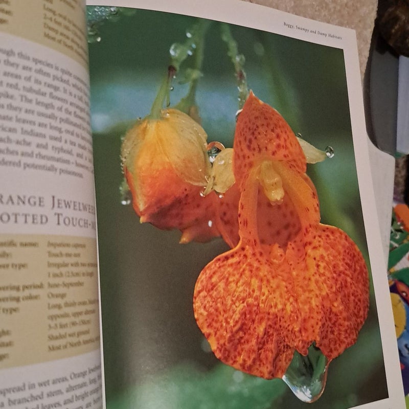 The Encyclopedia of North American Wild Flowers
