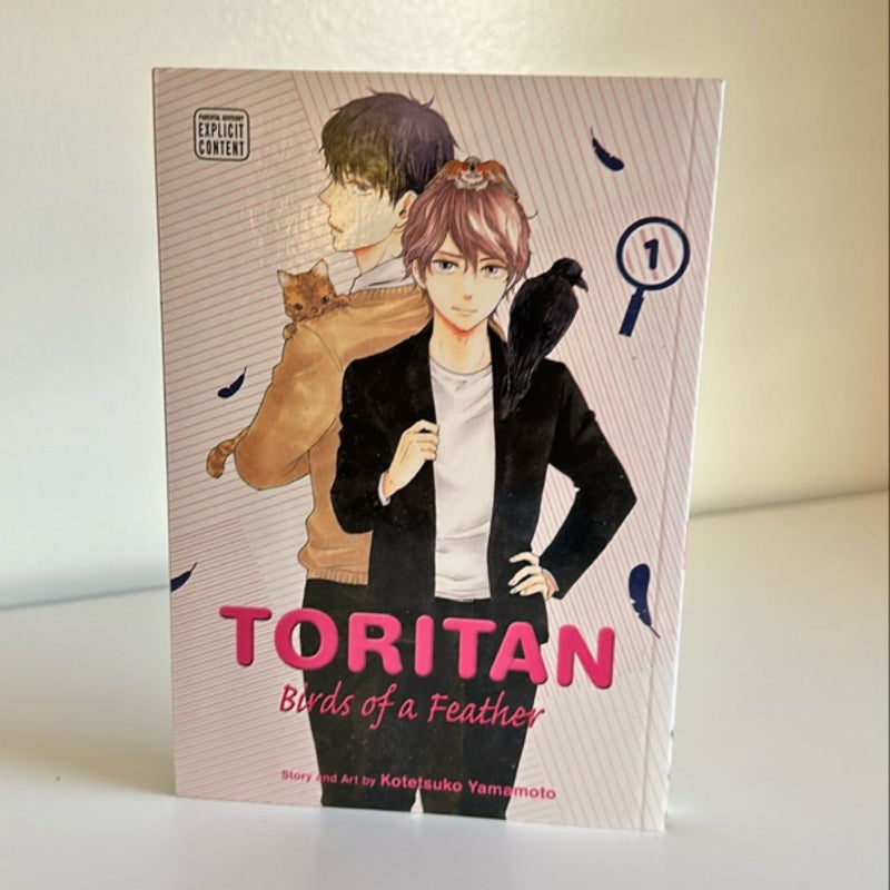 Toritan: Birds of a Feather, Vol. 1