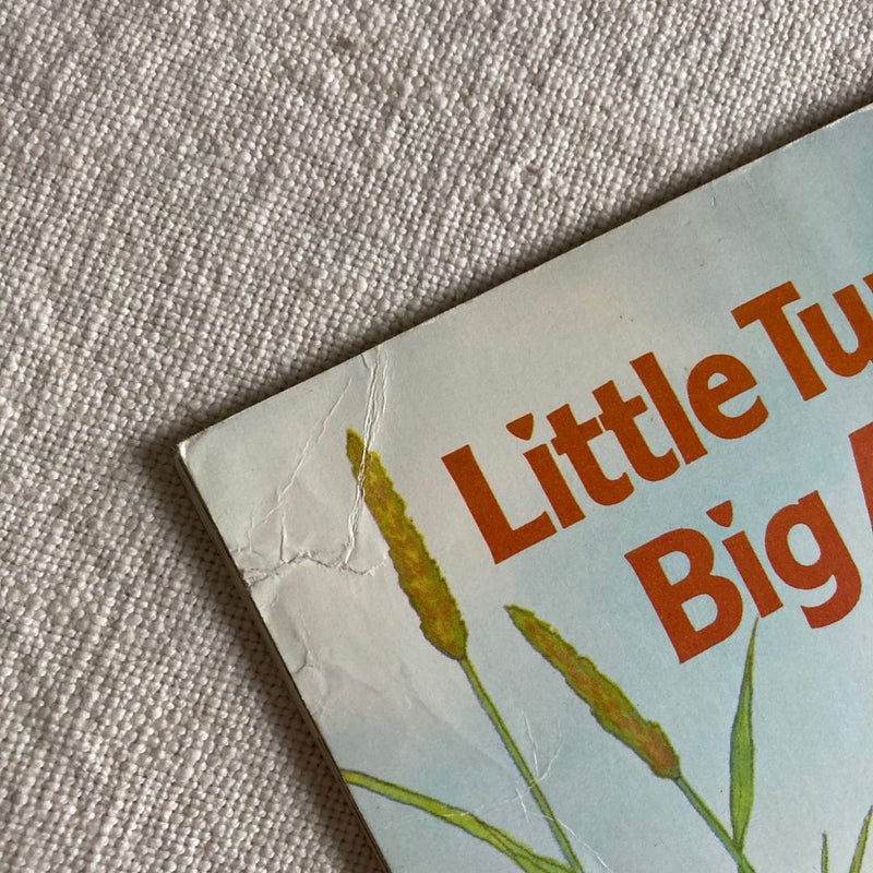 Little Turtle's Big Adventure (1978)
