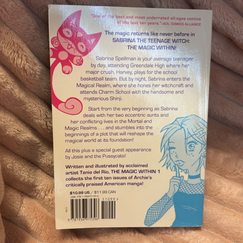 Sabrina the Teenage Witch: the Magic Within 1